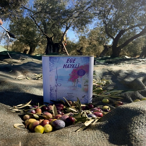 Erken%20Hasat%20Soğuk%20Sıkım%20Natürel%20Sızma%20Zeytinyağı%20(2%20LT)